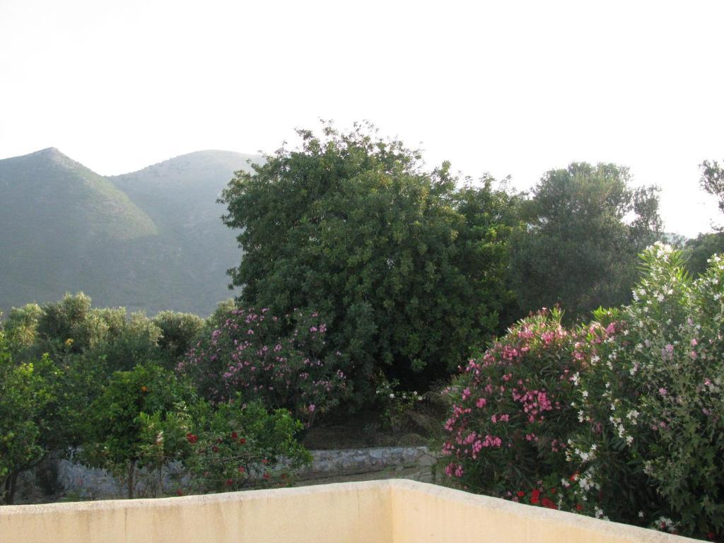 Skoutari Beach Hotel Quarto foto
